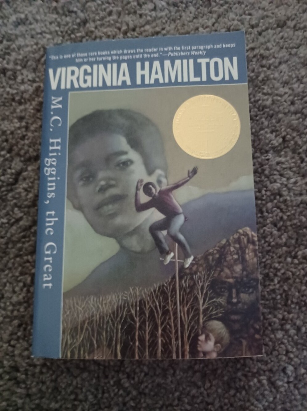 M.C. Higgins, the Great - Blue Paperback